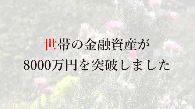 251227世帯の金融資産が8000万円を突破しました